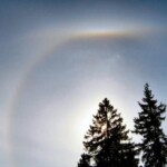 26.4.2005 klo 16.49
Lahden Ursan tähtitornin pihalta
Canon PowerShot A95 Kuva: Marko Kämäräinen